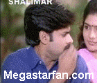 toliprema1