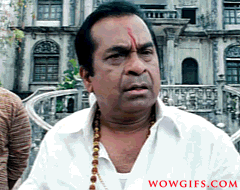 BRAHMANANDAM DOOKUDU GIFs (28)