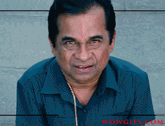 Plz vote Me BRAHMANANDAM DOOKUDU GIFs