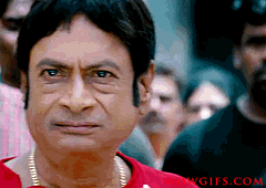 MS NARAYANA DOOKUDU GIFS (1)