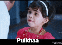 pulka_rajasam