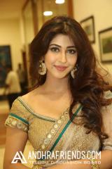 Sonarika Bhadoria Stills In Hot Gold Color Saree (7).jpg