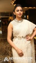rakul_preet_singh_new_pics_1902170911_004.jpg