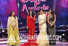 Zee Tv Apsara Awards (44).jpg