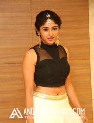 Roshini-Prakash-Hot-Pics-from-Saptagiri-Express-50-days-Function.jpg