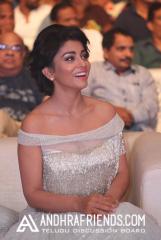 6R3B0958 - Copy_1600x1067.JPG