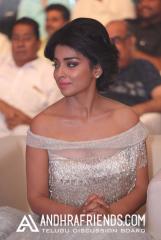 6R3B0961 - Copy_1600x1067.JPG