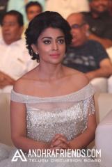 6R3B0964 - Copy_1600x1067.JPG