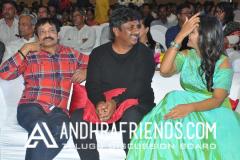 DSC_00810079 - Copy - Copy - Copy - Copy.JPG