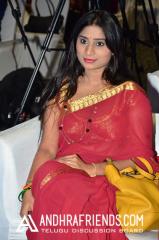 DSC_76210247 - Copy.JPG