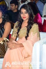 DSC_76970318 - Copy.JPG