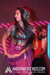 Gautham Nanda Audio Release Photos