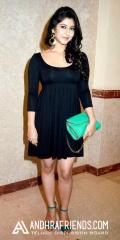 Sonarika-Bhadoria-Hair-Style-Pics-Photos-509x1024.jpg