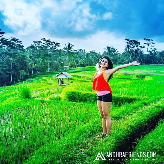 large.18013572_1541037172573378_17482117