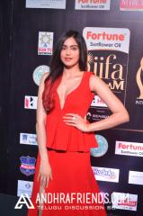 adah-sharma-iifa-awards-2017-1.jpg