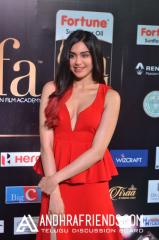 adah-sharma-iifa-awards-2017-12.jpg