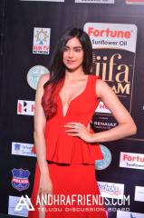 adah-sharma-iifa-awards-2017-3.jpg