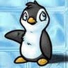 peng00.jpg.d7c9430cb8a9170b7c5d7491ca081