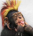 photo-48815.png?_r=1417952063