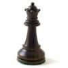Chessgirl