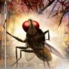 eega1